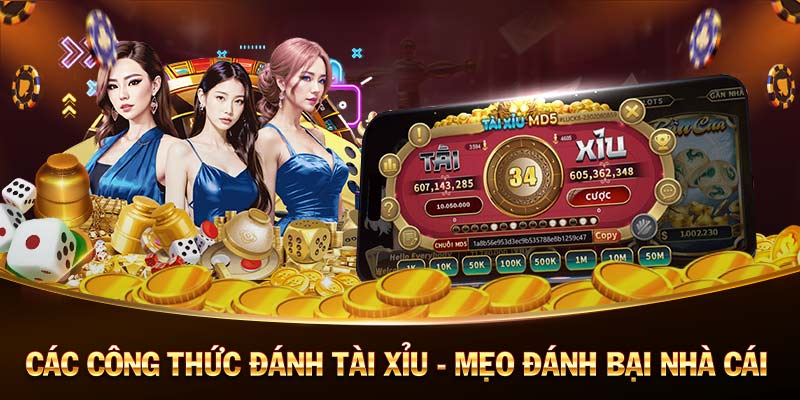 f8bet-Link truy cập nhanh giúp bạn kết nối nhanh chóng!